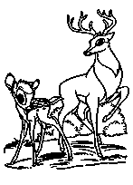 coloriage bambi et roi des cerfs